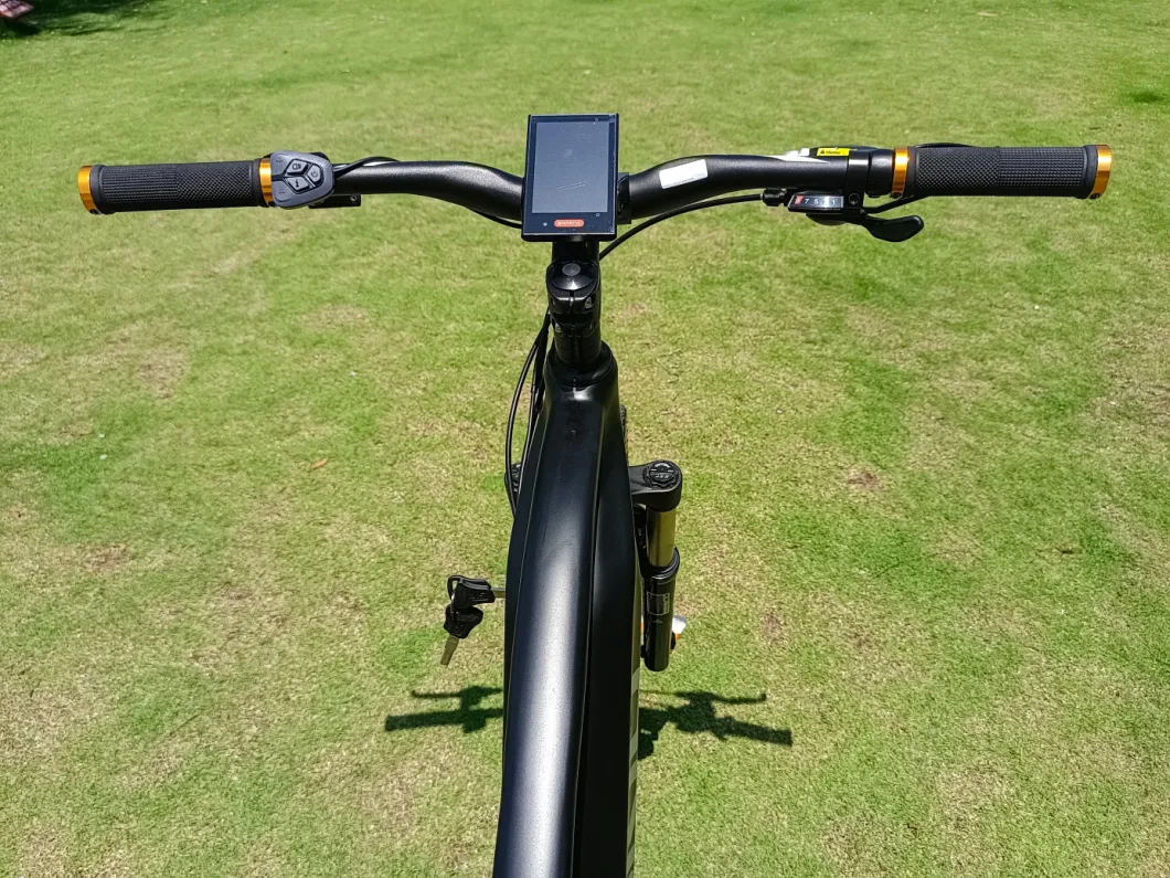 Wholesale Fat Tyre Mountain Electric Bike with Disc Brake