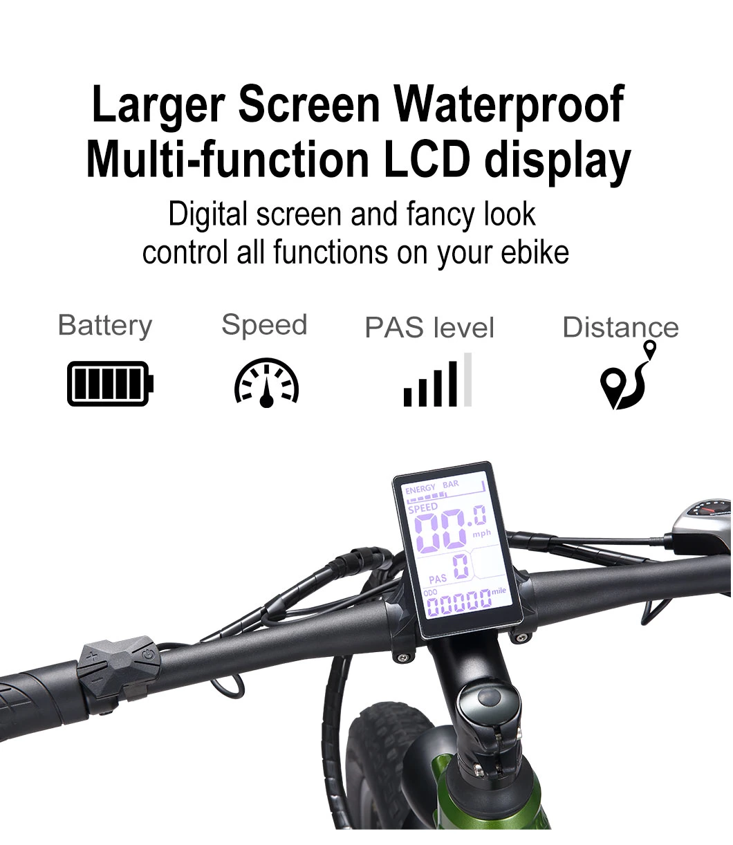 Color Customized 500W Dual Battery Fat Tire Electric Mountain Bike