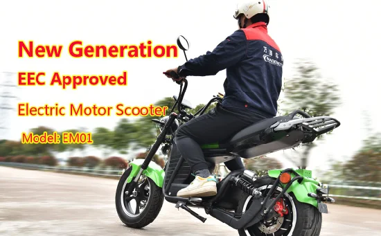 Scooter elettrico CEE China Factory 3000W 4000W 5000W per adulti