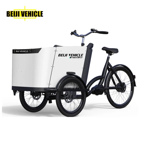 Prezzo di fabbrica Bici da carico elettrica con telaio in alluminio per consegna carico con batteria al litio da 36 V / 19,2 Ah per il trasporto di bambini