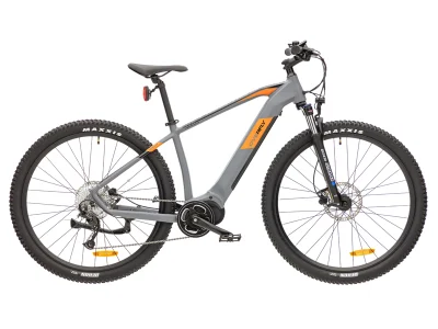 Mountain bike elettrica da 29 pollici con motore MID 36V 250W