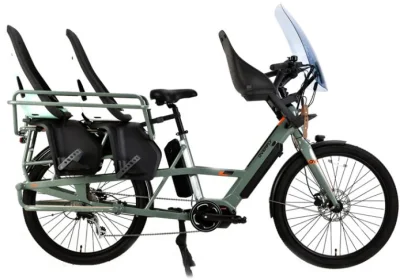 Bici da carico elettrica a motore centrale Wagon 36V 250W/48V 500W